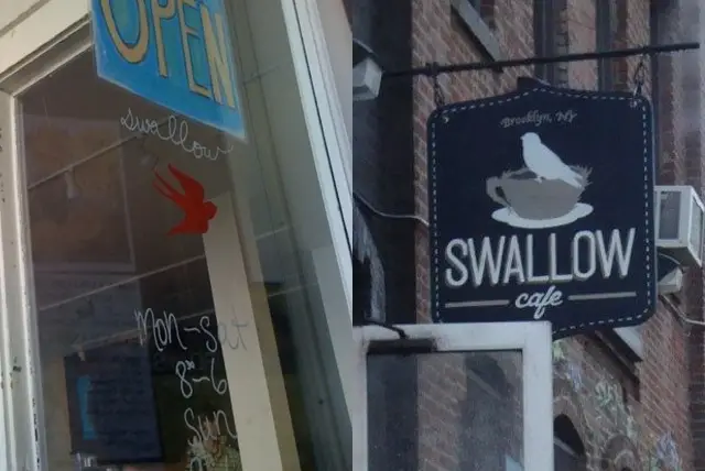 Swallow in Hudson